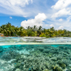 House reef, Vilamendhoo