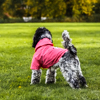 Norman in pink rain coat