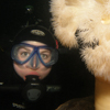 Diver & Sea anemone
